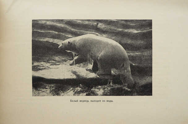 Завадовский М. Новый зоопарк. [М.]: Издательство Московского коммунального хозяйства, 1927.